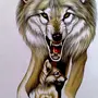 Волк Рисунок