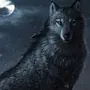 Волки красивые на телефон