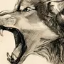 Картинки для срисовки злой волк