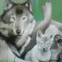 Волчица с волчонком рисунок