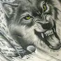 Оскал волка рисунок