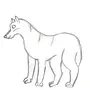 Рисунок волка 3 класс