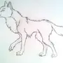 Рисунок Волка 3 Класс