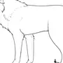 Рисунок волка 3 класс