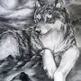 Волчица Рисунок