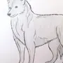 Картинка рисунок волка схема как