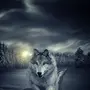 Волк на телефон
