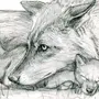 Волки карандашом