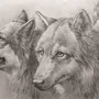 Волки карандашом