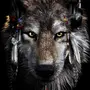Крутые Волка