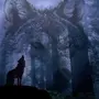 Скачать Волк Одиночка