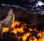 Огненный волк