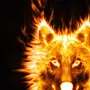 Огненный Волк
