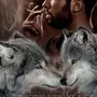 Волк Одиночка Мужика