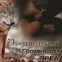 Волк С Надписями