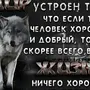 Волк с надписями