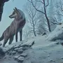 Логово волка