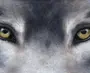 Глаза волка