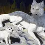 Волчицы Красивые