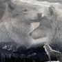 Волк И Волчица