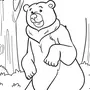 Картинка Медведя Раскраска