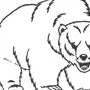 Картинка медведя раскраска