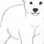 Легкие Рисунки Медвежонка