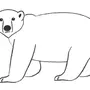 Легкие рисунки медвежонка
