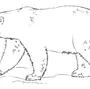 Картинка белый медведь для детей