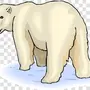 Картинка Белый Медведь Для Детей