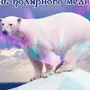 Международный день полярного медведя картинки