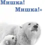 Международный День Полярного Медведя Картинки