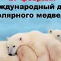 Международный день полярного медведя картинки