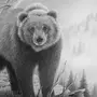 Медведь картинки нарисованные