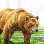 Медведь картинки нарисованные
