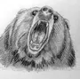 Фотки Нарисованного Медведя