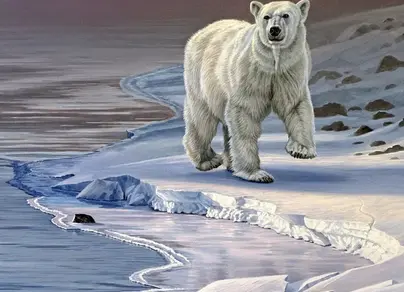 Белый медведь картинки нарисованные
