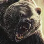Злой Медведь