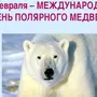 День белого медведя картинки