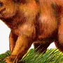 Медведь детская картинка