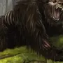 Страшный Медведь Картинки