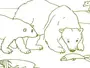 Белый Медведь Рисунок 4 Класс