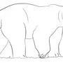 Белый медведь рисунок 1 класс