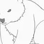 Рисунки Медведя Для Срисовки Легкие И Красивые