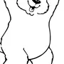 Медведь На Задних Лапах Рисунок