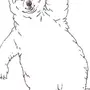 Медведь на задних лапах рисунок