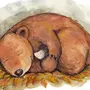 Медведь в берлоге рисунок для детей