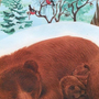 Медведь спит в берлоге картинки