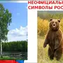 Медведь символ россии картинки