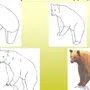Рисунок медведя 3 класс
